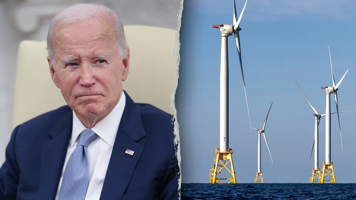 A $5 billion green energy project touted by the Biden administration and Democrats was rushed and relied on faulty science that could have resulted in severe negative environmental impacts, a new study found. (Win McNamee/Getty Images John Moore/Getty Images)